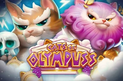 Cats of Olympuss