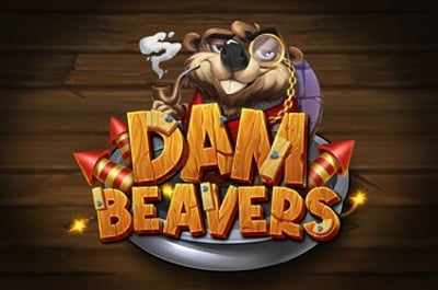 Dam Beavers