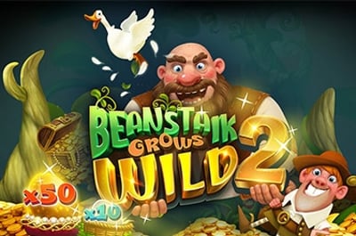 Beanstalk Grows Wild 2